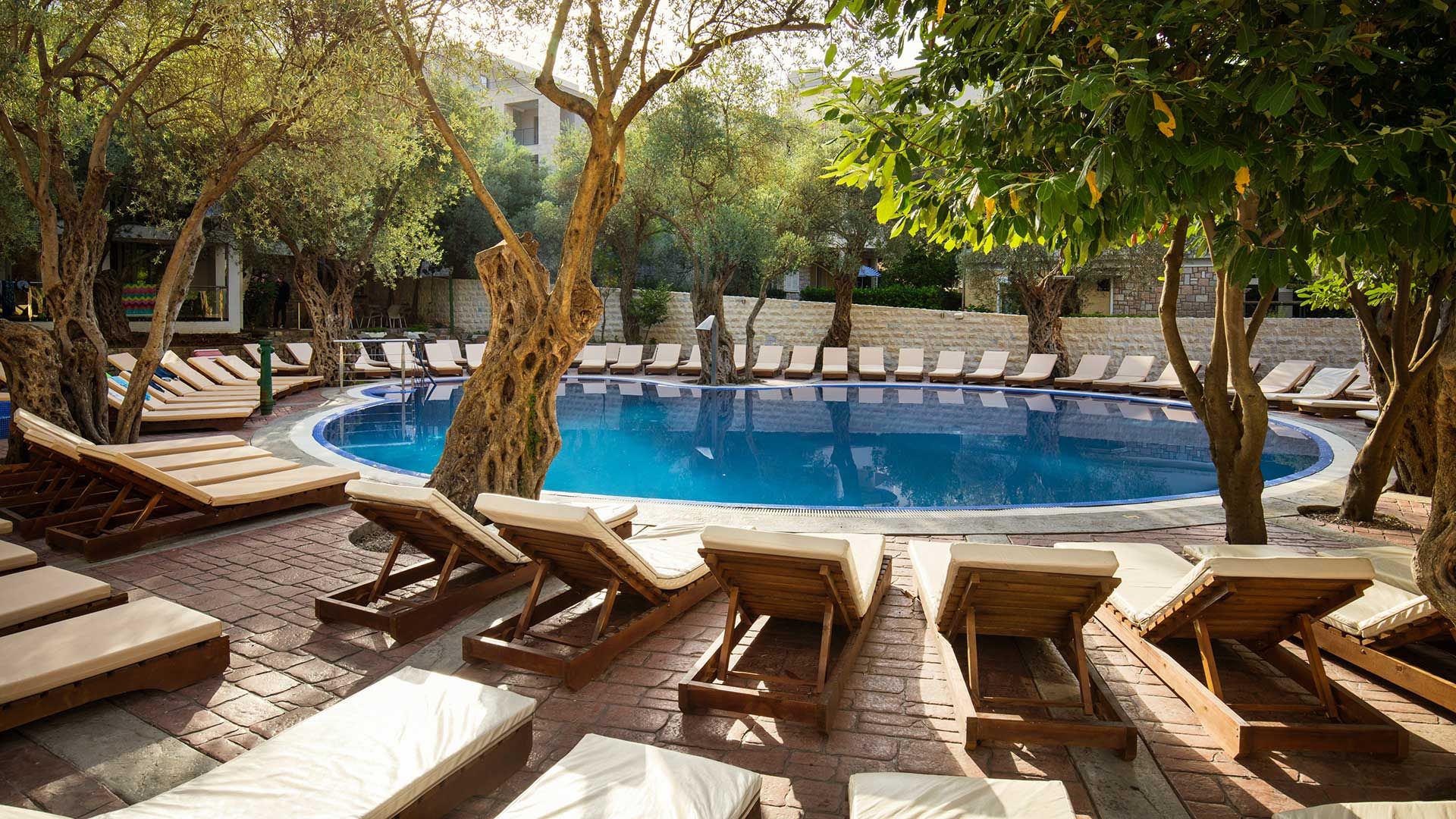 PETROVAC, VILA OLIVE 4*