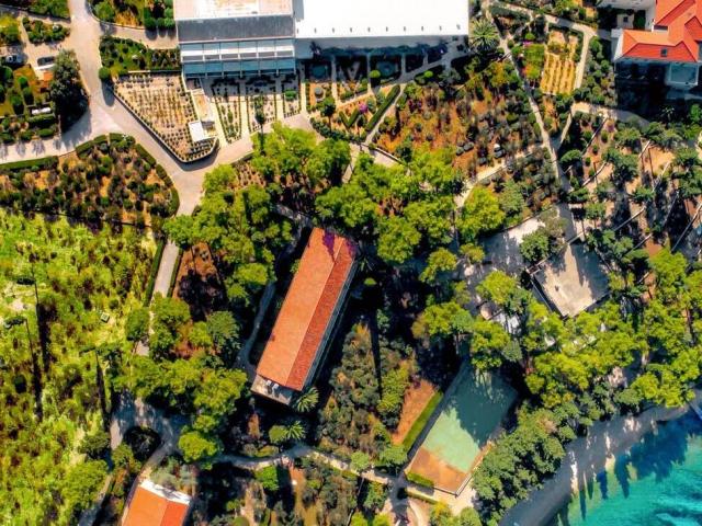 BRAČ – SUPETAR – AMINESS VELARIS RESORT 4*